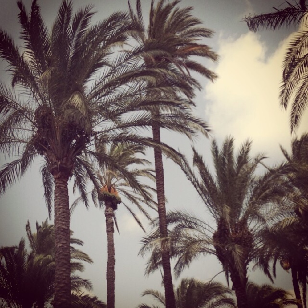 Meet your Posher, Salma